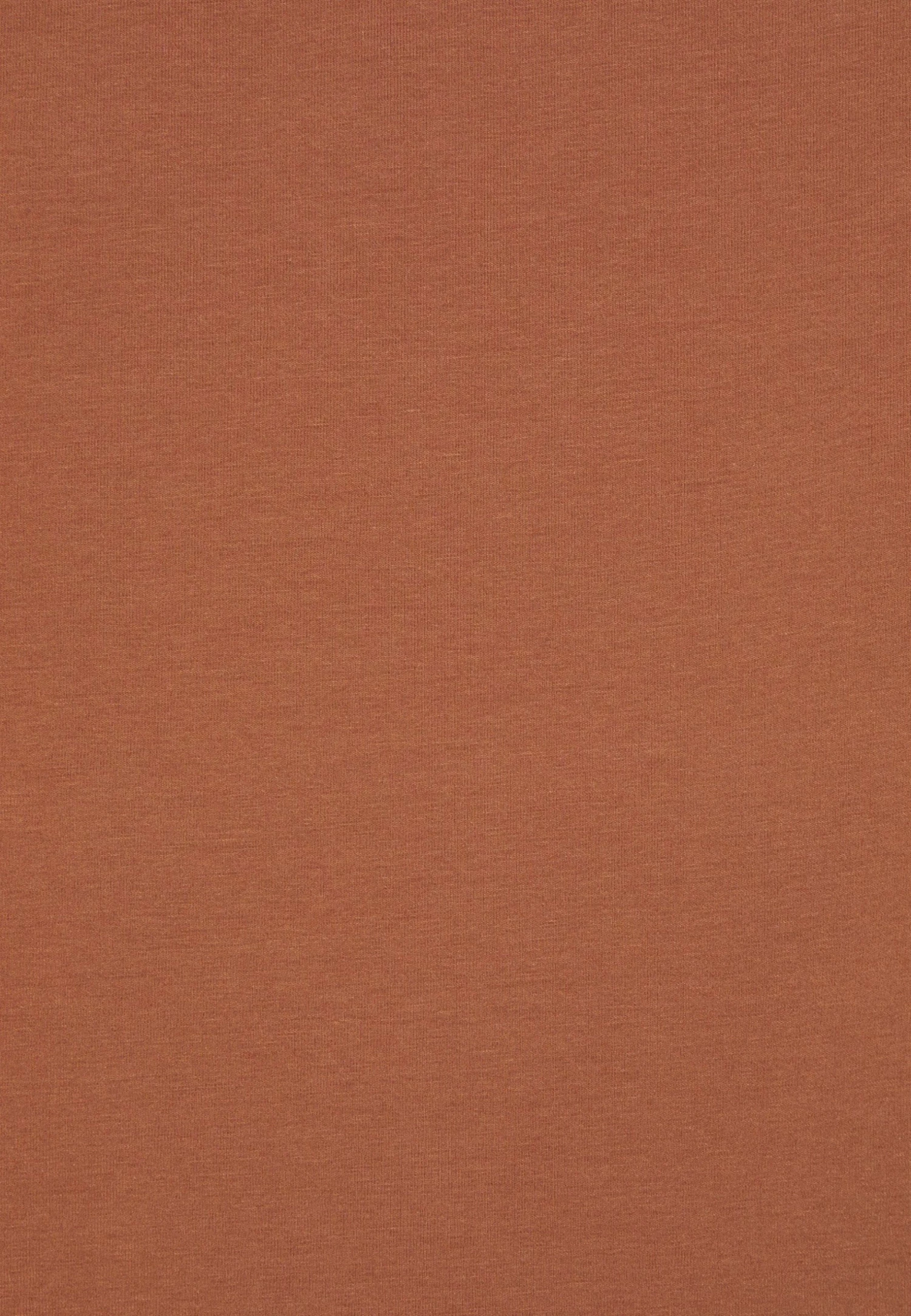 Weekday TRISH - T-shirt basique Women 9 Weekday TRISH - T-shirt basique Women – Image 7